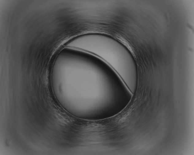 X0000093170387200709261100