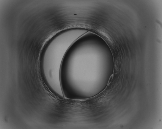 X0000093170388200709261100