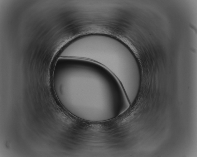 X0000093170391200709261100
