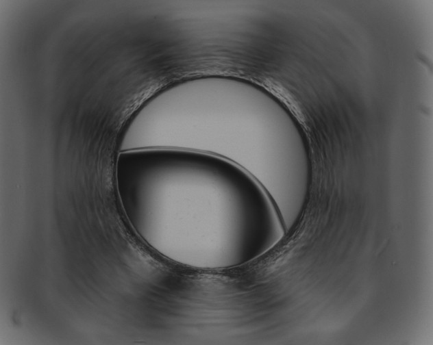 X0000093170393200709261100