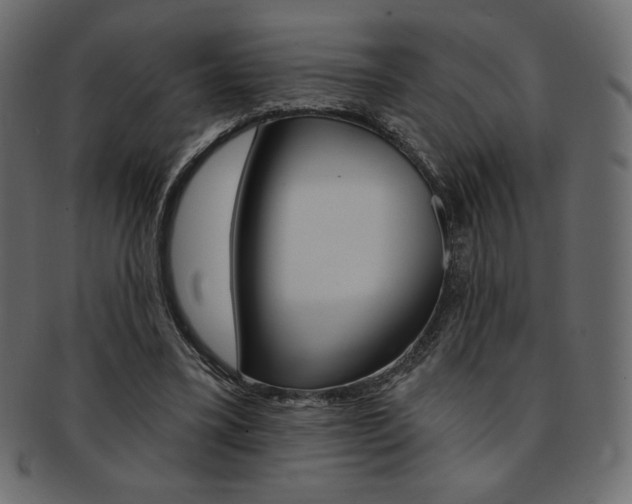 X0000093170395200709261100