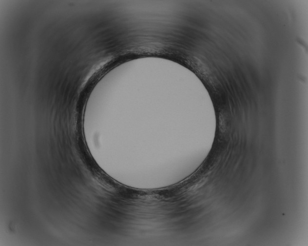 X0000093170396200709261100