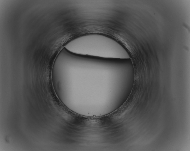 X0000093170402200709261100