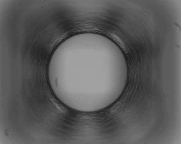 X0000093170405200709261100