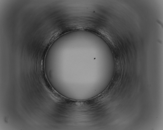 X0000093170406200709261100