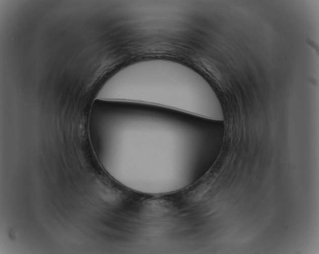 X0000093170408200709261100