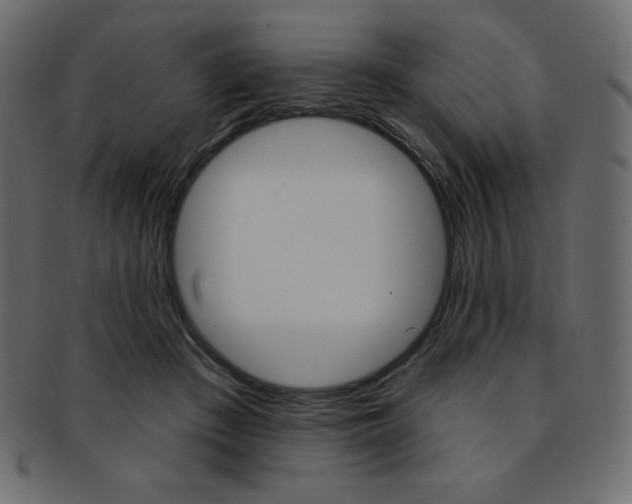 X0000093170409200709261100