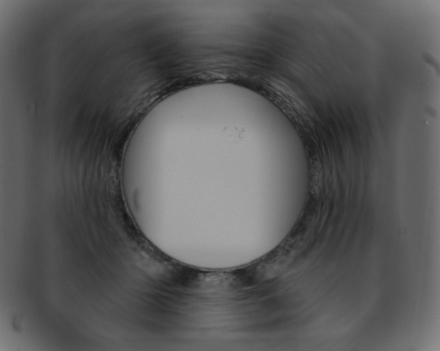 X0000093170414200709261100