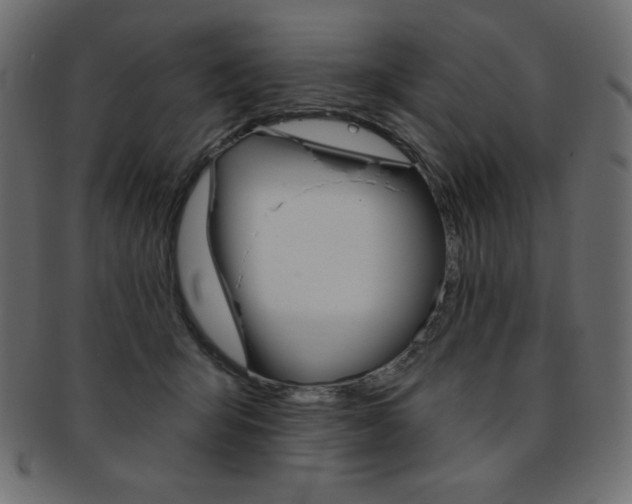 X0000093170415200709261100