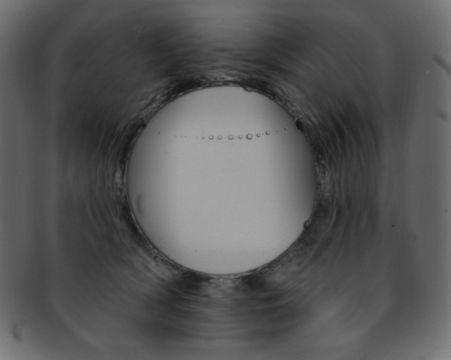X0000093170418200709261100