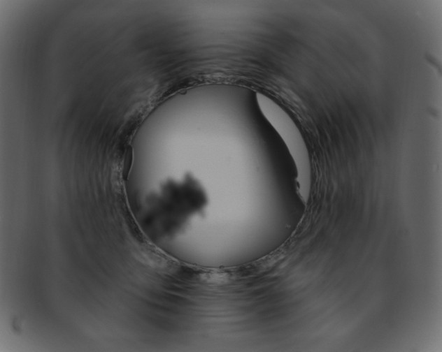 X0000093170419200709261100