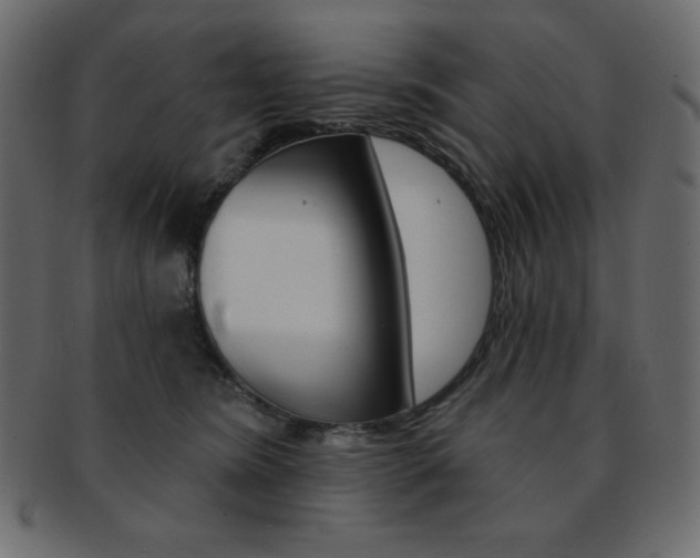 X0000093170420200709261100