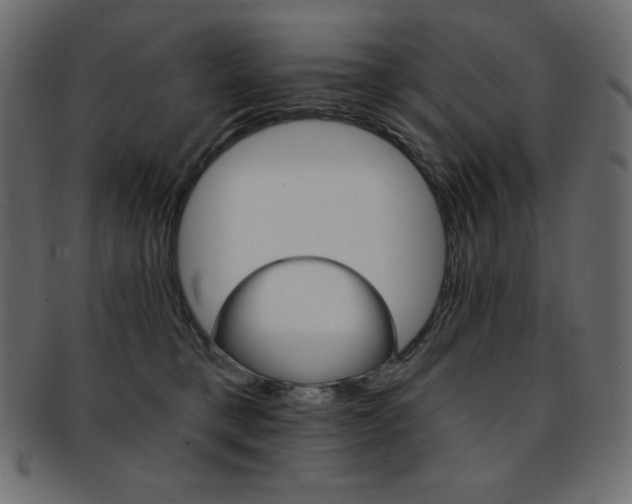 X0000093170421200709261100