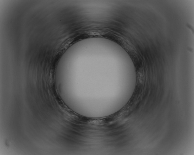 X0000093170422200709261100