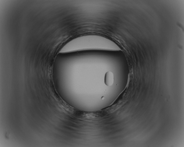X0000093170423200709261100