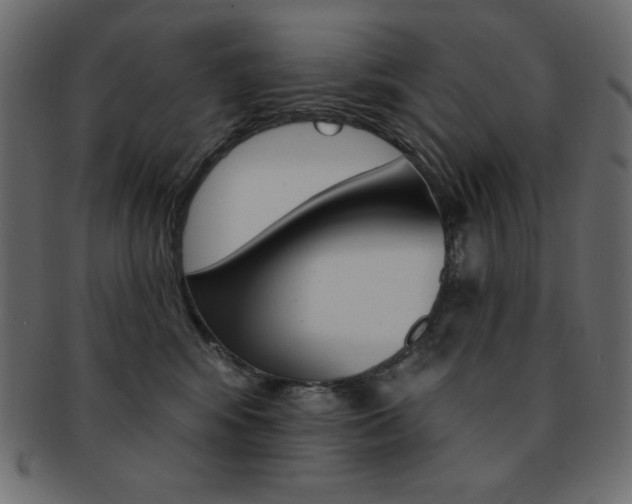 X0000093170424200709261100