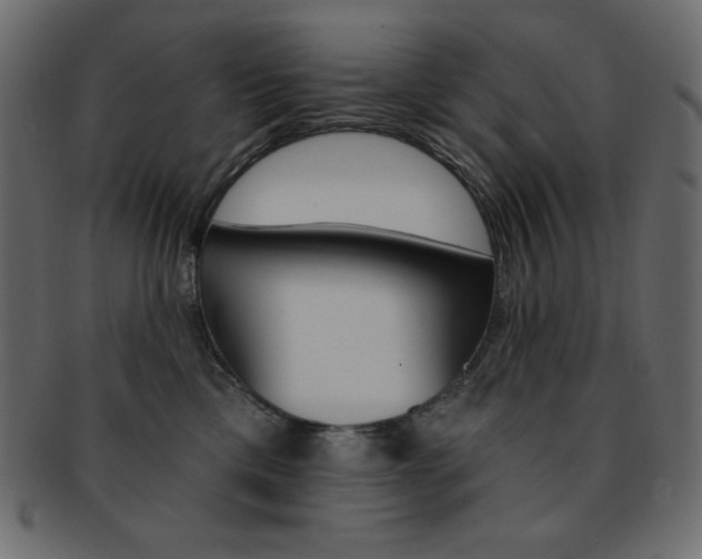 X0000093170425200709261100