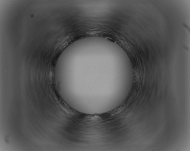 X0000093170427200709261100