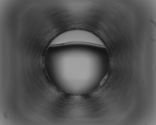 X0000093170428200709261100