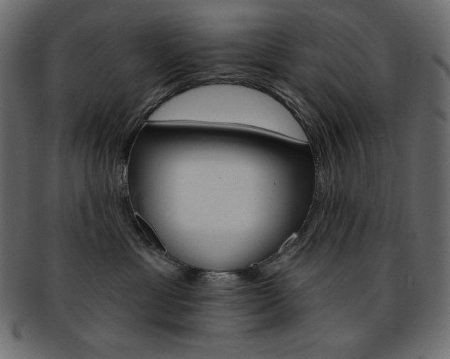 X0000093170429200709261100