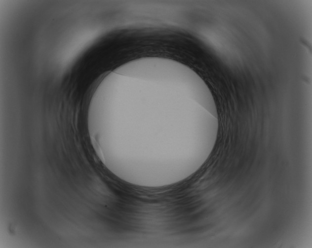X0000093170431200709261059