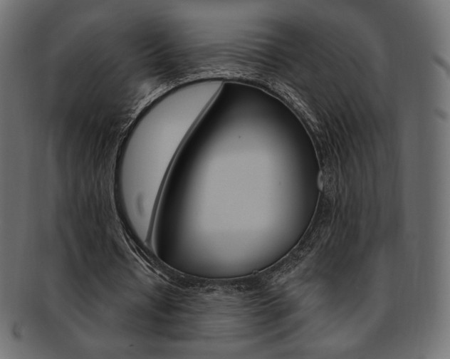 X0000093170434200709261059