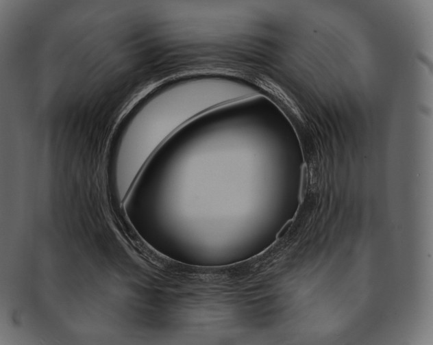 X0000093170436200709261059