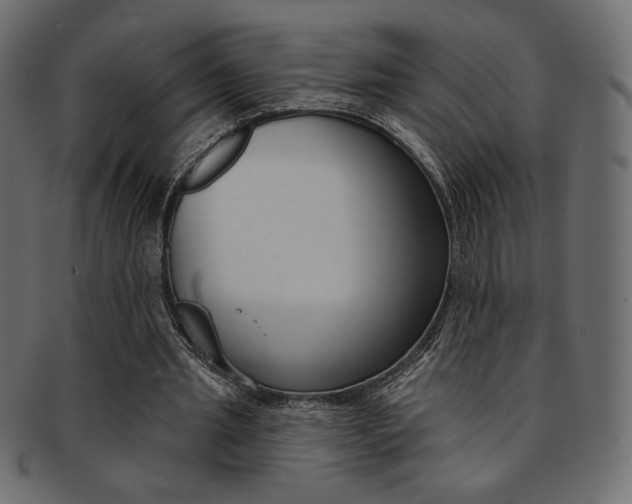 X0000093170437200709261059