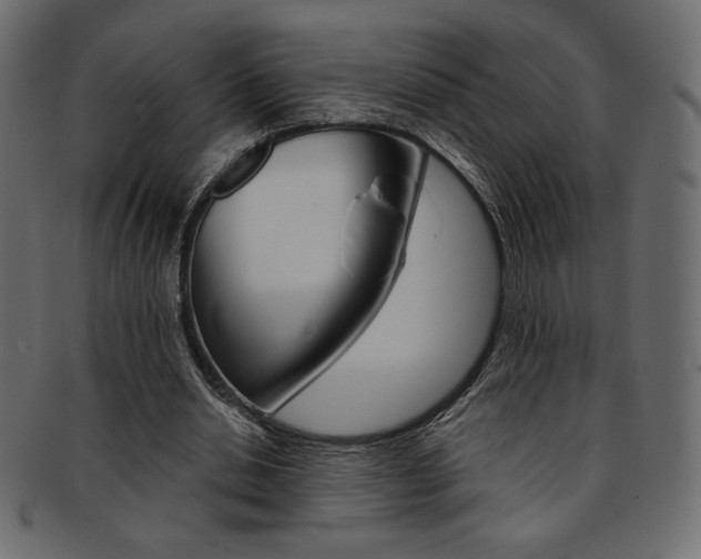 X0000093170438200709261059