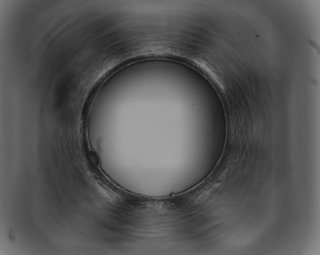 X0000093170439200709261059