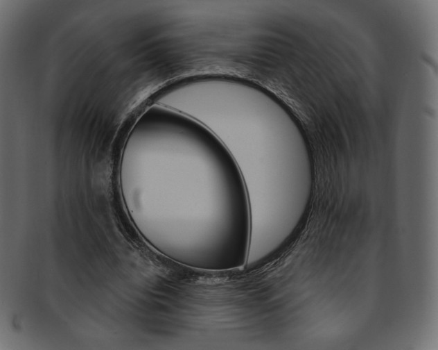 X0000093170440200709261059