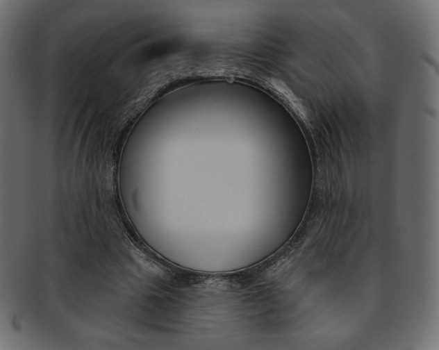 X0000093170441200709261059