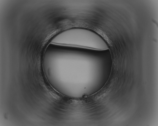 X0000093170442200709261059