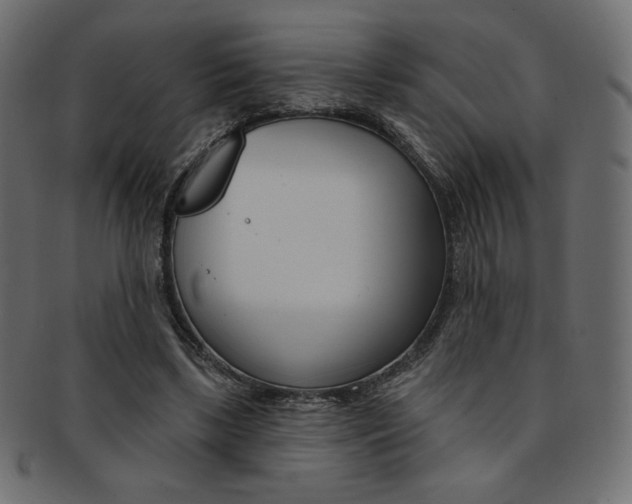 X0000093170443200709261059
