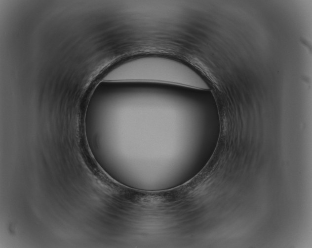 X0000093170444200709261059