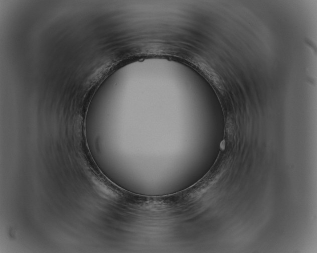 X0000093170445200709261059