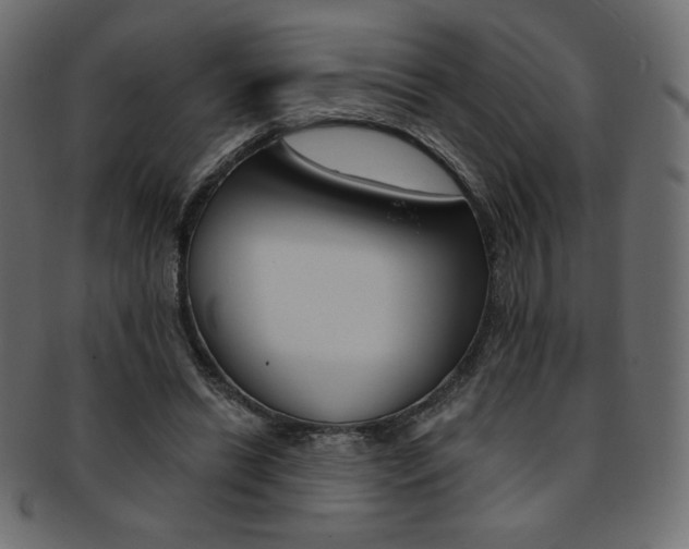 X0000093170446200709261059
