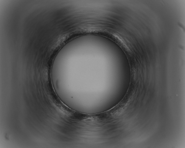 X0000093170447200709261059