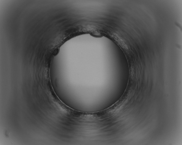 X0000093170449200709261059
