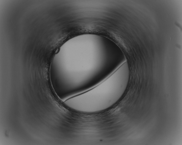 X0000093170450200709261059