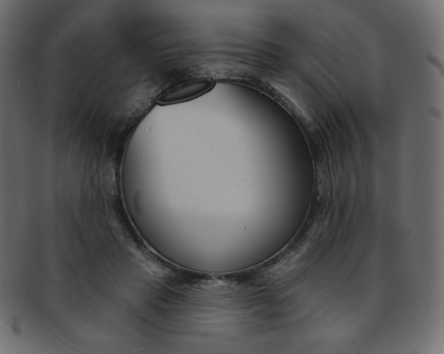 X0000093170453200709261059