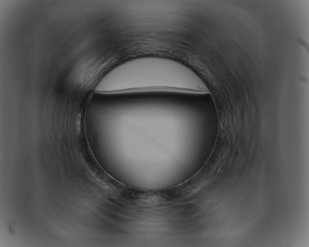 X0000093170454200709261059
