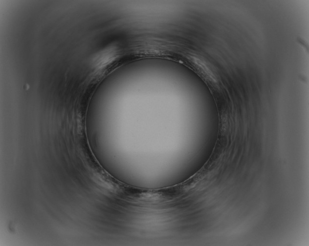 X0000093170457200709261059