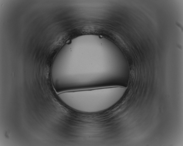 X0000093170458200709261059