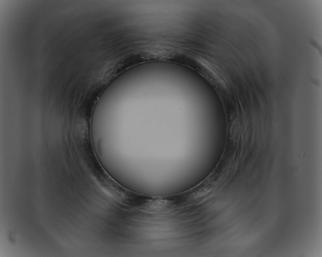 X0000093170459200709261059