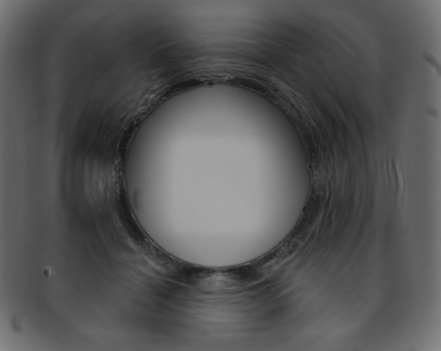 X0000093170460200709261059