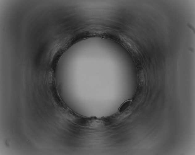 X0000093170463200709261059