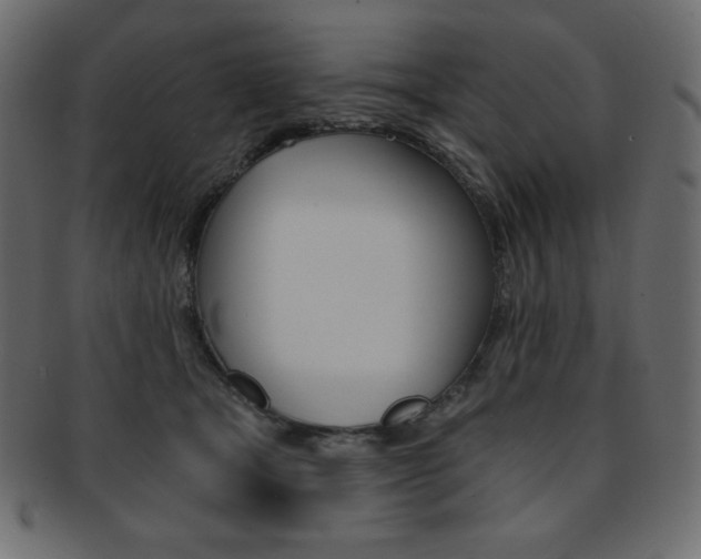 X0000093170465200709261059