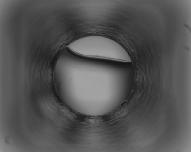 X0000093170466200709261059