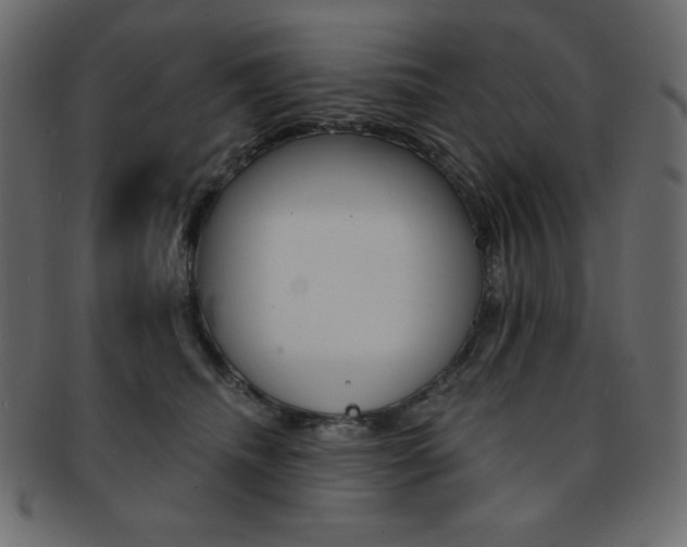 X0000093170468200709261059